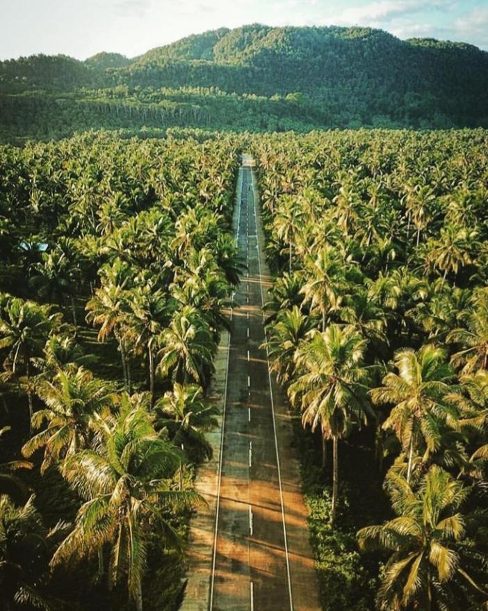 Отель "Triangle Hut" Camp Fuego Siargao Catangnan Экстерьер фото